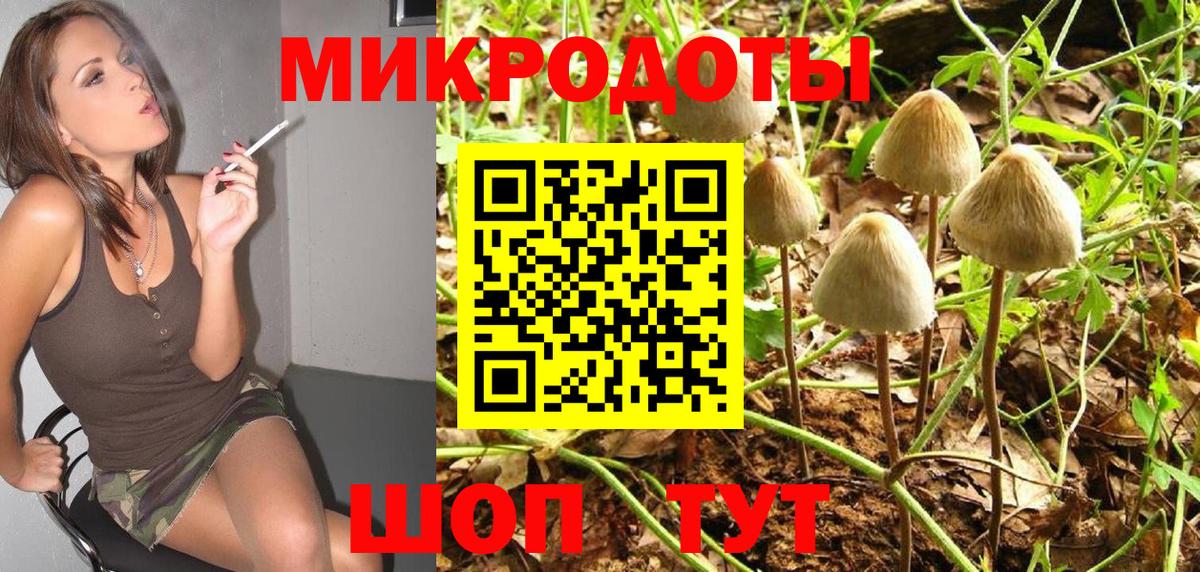 Псилоцибиновые грибы Cubensis  Вход с VPN  Галлюциногенные грибы мухоморы  Куйбышев 