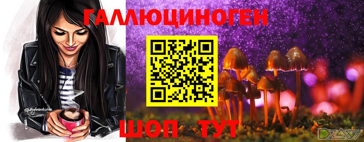 Галлюциногенные грибы мицелий Куйбышев